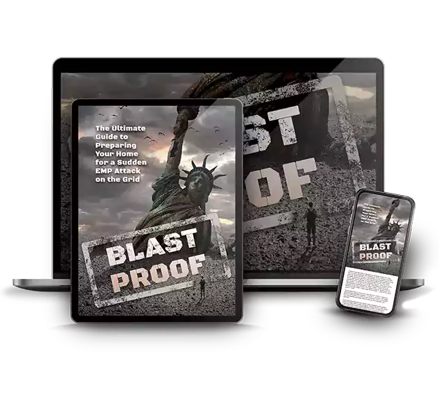 David's Shield complete survival plan for EMP attacks and blackouts